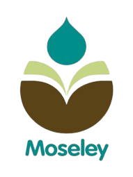 Logo for  Moseley Primary School